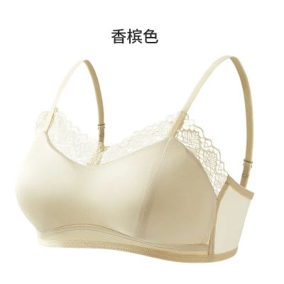 dongguan womenwear factory, dongguan womenwear women bra supplier