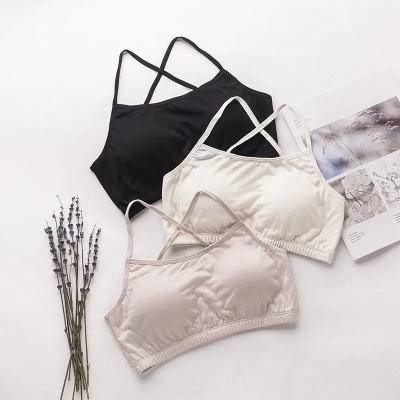 dongguan womenwear factory, dongguan womenwear women bra supplier