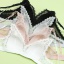 dongguan womenwear factory, dongguan womenwear women bra  supplier