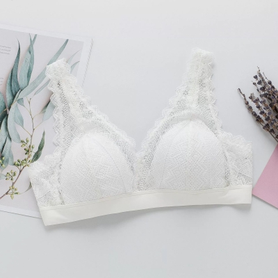 dongguan womenwear factory, dongguan womenwear women bra supplier