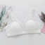 dongguan womenwear factory, dongguan womenwear women bra  supplier