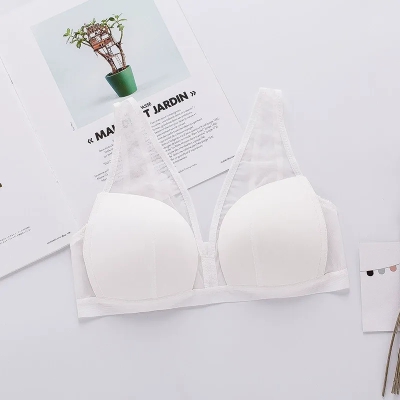dongguan womenwear factory, dongguan womenwear women bra supplier