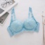 dongguan womenwear factory, dongguan womenwear women bra  supplier