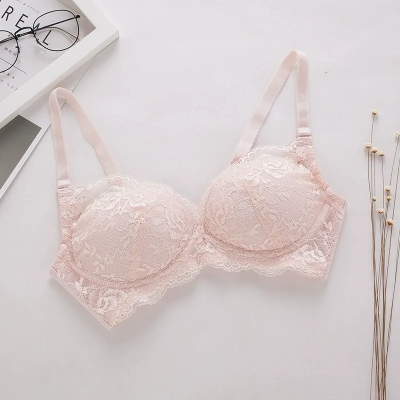 dongguan womenwear factory, dongguan womenwear women bra supplier