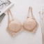 dongguan womenwear factory, dongguan womenwear women bra  supplier