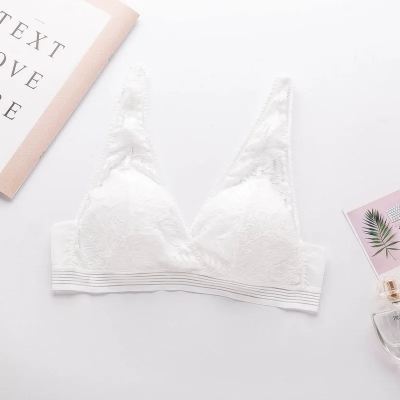 dongguan womenwear factory, dongguan womenwear women bra supplier