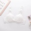 dongguan womenwear factory, dongguan womenwear women bra  supplier