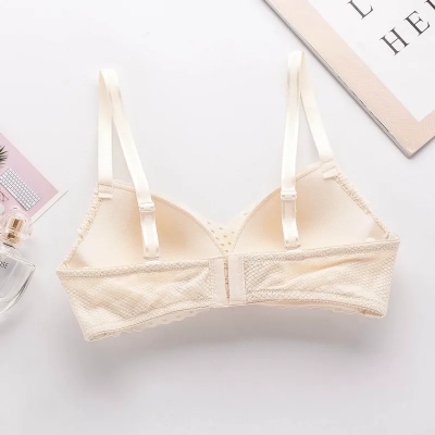 dongguan womenwear factory, dongguan womenwear women bra supplier