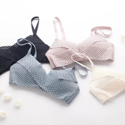 dongguan womenwear factory, dongguan womenwear women bra supplier