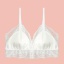 dongguan womenwear factory, dongguan womenwear women bra  supplier
