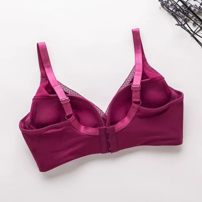 dongguan womenwear factory, dongguan womenwear women bra supplier