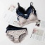 dongguan womenwear factory, dongguan womenwear women bra  supplier