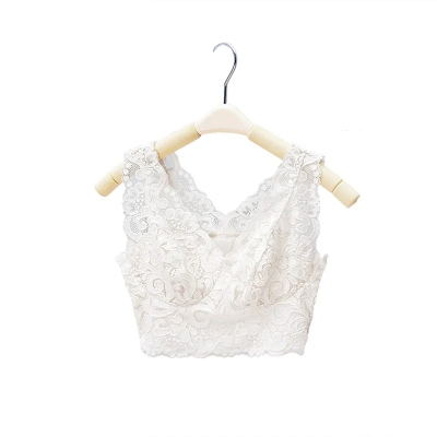 dongguan womenwear factory, dongguan womenwear women bra supplier