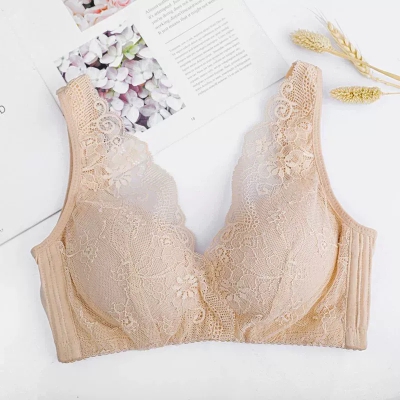 dongguan womenwear factory, dongguan womenwear women bra supplier