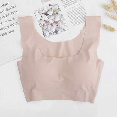 dongguan womenwear factory, dongguan womenwear women bra supplier
