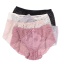 dongguan womenwear factory, dongguan womenwear underwear  supplier