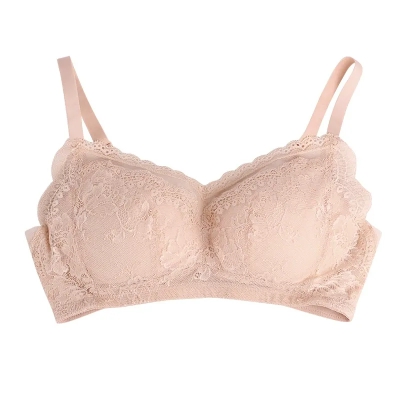 dongguan womenwear factory, dongguan womenwear women bra supplier