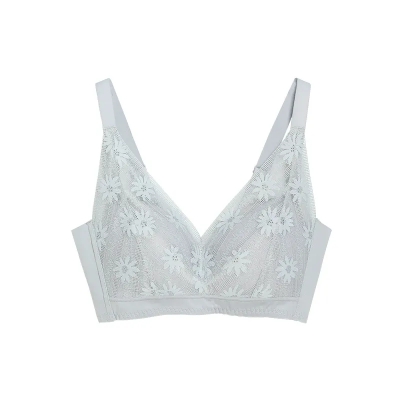 dongguan womenwear factory, dongguan womenwear women bra supplier