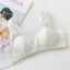 dongguan womenwear factory, dongguan womenwear women bra  supplier