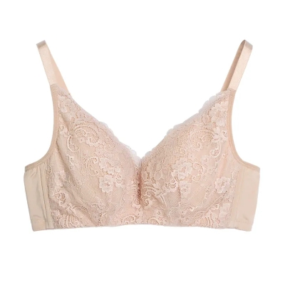 dongguan womenwear factory, dongguan womenwear women bra supplier