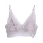 dongguan womenwear factory, dongguan womenwear women bra  supplier