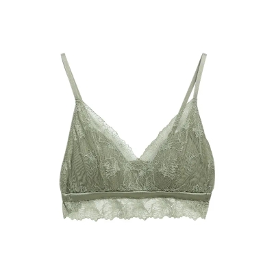 dongguan womenwear factory, dongguan womenwear women bra supplier