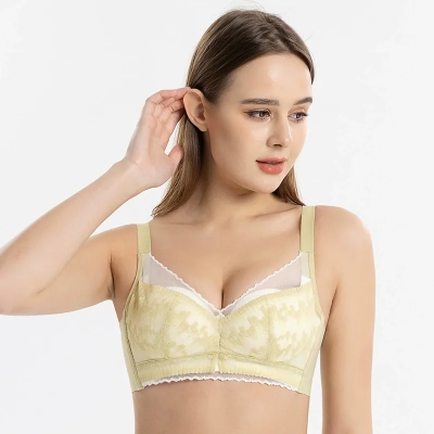 dongguan womenwear factory, dongguan womenwear women bra supplier