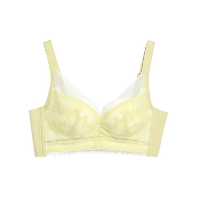 dongguan womenwear factory, dongguan womenwear women bra supplier