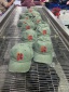dongguan accessories factory, dongguan accessories hats  supplier