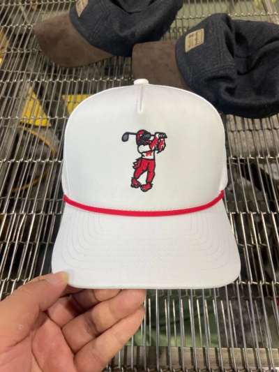 dongguan accessories factory, dongguan accessories hats  supplier
