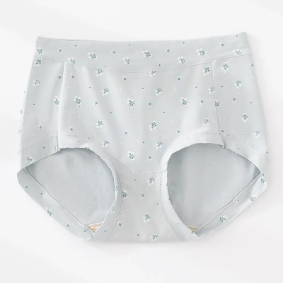 dongguan womenwear factory, dongguan womenwear underwear supplier
