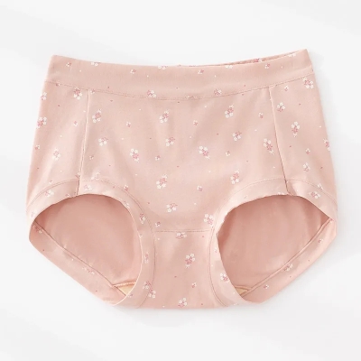 dongguan womenwear factory, dongguan womenwear underwear supplier