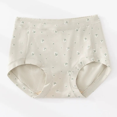 dongguan womenwear factory, dongguan womenwear underwear supplier