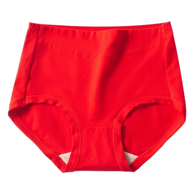 dongguan womenwear factory, dongguan womenwear underwear supplier