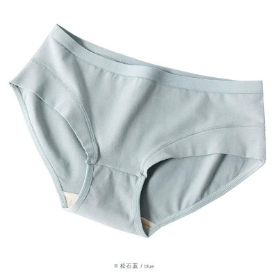 dongguan womenwear factory, dongguan womenwear underwear supplier