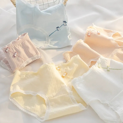 dongguan womenwear factory, dongguan womenwear underwear  supplier