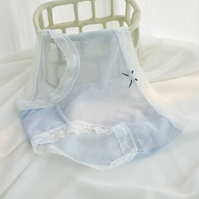 dongguan womenwear factory, dongguan womenwear underwear supplier