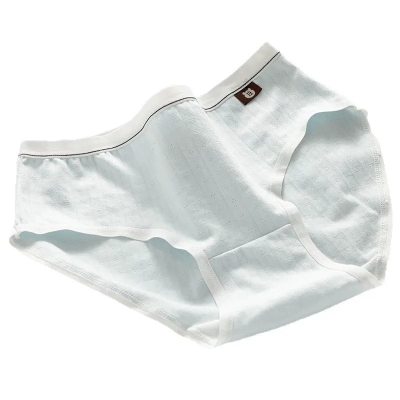 dongguan womenwear factory, dongguan womenwear underwear  supplier