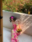 dongguan dress factory, dongguan dress supplier  summer dress silk dress silk skirt dress satin dress floral dress overall dress cotton dress skirt dress vintage dress bodycon dress slip dress A line dress lace dress chiffon dress chinese style dress