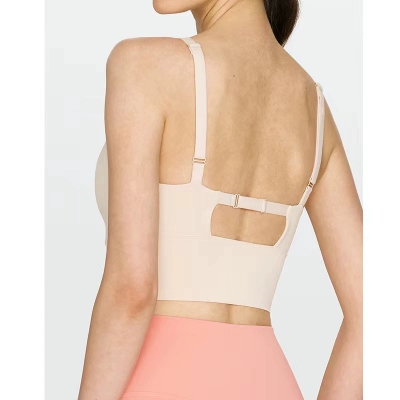 dongguan activewear factory, dongguan activewear  sports bra  supplier